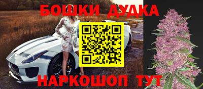 гидропоника Ставрополь